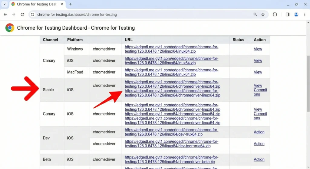 Download ChromeDriver (Official Links)